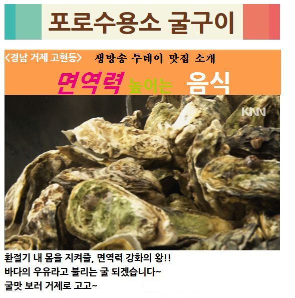 KNN생방송투데이 맛집으로 방영